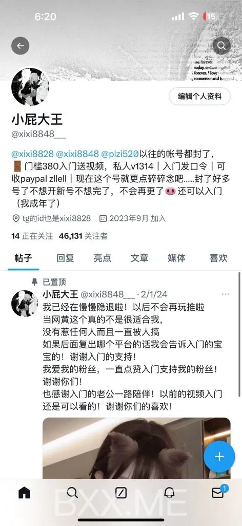 xiaopidawang-twtter-1.webp